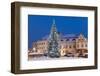 Snow-Covered Christmas Tree and Renaissance Buildings, Jihocesky, Czech Republic, Europe-Richard Nebesky-Framed Photographic Print