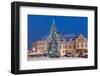 Snow-Covered Christmas Tree and Renaissance Buildings, Jihocesky, Czech Republic, Europe-Richard Nebesky-Framed Photographic Print