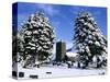 Snow Covered Church and Cemetery-Ashley Cooper-Stretched Canvas