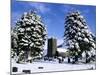 Snow Covered Church and Cemetery-Ashley Cooper-Mounted Photographic Print