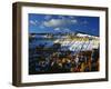 Snow Covered Cliffs and Hoodoos, Bryce Canyon National Park, Colorado Plateau, Utah, USA-Scott T. Smith-Framed Photographic Print