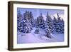 Snow Covered Conifers, Austria, Europe-Sabine Jacobs-Framed Photographic Print