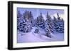 Snow Covered Conifers, Austria, Europe-Sabine Jacobs-Framed Photographic Print