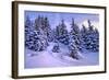 Snow Covered Conifers, Austria, Europe-Sabine Jacobs-Framed Photographic Print