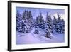 Snow Covered Conifers, Austria, Europe-Sabine Jacobs-Framed Photographic Print