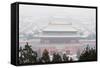 Snow Covered Forbidden City Palace Museum UNESCO World Heritage Site Beijing China-Christian Kober-Framed Stretched Canvas