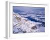 Snow Covered Grand Canyon, South Rim, Grand Canyon NP, Arizona-Greg Probst-Framed Photographic Print