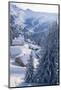 Snow Covered House and Trees-David De Lossy-Mounted Photographic Print