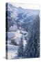 Snow Covered House and Trees-David De Lossy-Stretched Canvas