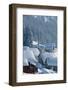 Snow Covered House, Elevated View-David De Lossy-Framed Photographic Print