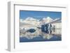 Snow covered island and iceberg with reflection in South Atlantic Ocean, Antarctica-Keren Su-Framed Photographic Print