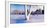 Snow covered lakefront park in winter, Chicago, Cook County, Illinois, USA-null-Framed Photographic Print