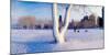 Snow covered lakefront park in winter, Chicago, Cook County, Illinois, USA-null-Mounted Photographic Print