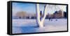 Snow covered lakefront park in winter, Chicago, Cook County, Illinois, USA-null-Framed Stretched Canvas