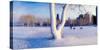 Snow covered lakefront park in winter, Chicago, Cook County, Illinois, USA-null-Stretched Canvas