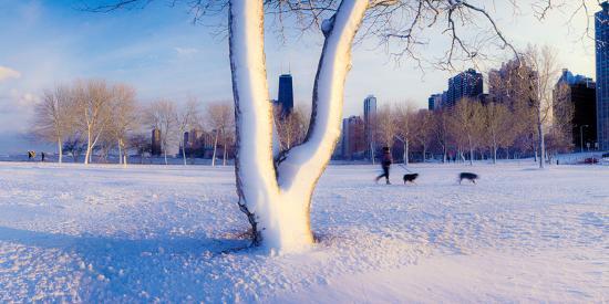 Photographic Print, , large