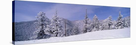 Snow Covered Landscape, Colorado, USA-null-Stretched Canvas