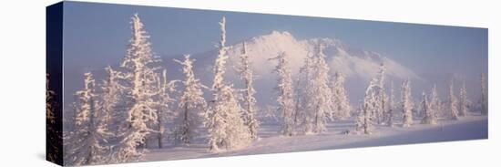 Snow Covered Landscape, Hoarfrost on Trees, Chugach Mountains, Alaska, USA-null-Stretched Canvas