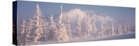 Snow Covered Landscape, Hoarfrost on Trees, Chugach Mountains, Alaska, USA-null-Stretched Canvas