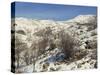 Snow Covered Landscape on Mount Hermon, Israel, Middle East-Simanor Eitan-Stretched Canvas