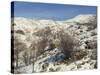 Snow Covered Landscape on Mount Hermon, Israel, Middle East-Simanor Eitan-Stretched Canvas