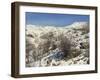 Snow Covered Landscape on Mount Hermon, Israel, Middle East-Simanor Eitan-Framed Photographic Print