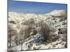 Snow Covered Landscape on Mount Hermon, Israel, Middle East-Simanor Eitan-Mounted Photographic Print