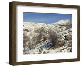 Snow Covered Landscape on Mount Hermon, Israel, Middle East-Simanor Eitan-Framed Photographic Print