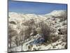 Snow Covered Landscape on Mount Hermon, Israel, Middle East-Simanor Eitan-Mounted Photographic Print
