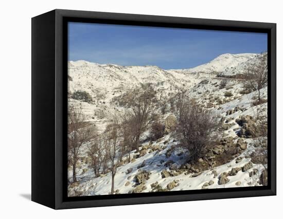 Snow Covered Landscape on Mount Hermon, Israel, Middle East-Simanor Eitan-Framed Stretched Canvas