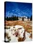 Snow covered landscape, Timberline Lodge, Mt Hood National Forest, Clackamas County, Oregon, USA-null-Stretched Canvas