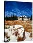 Snow covered landscape, Timberline Lodge, Mt Hood National Forest, Clackamas County, Oregon, USA-null-Stretched Canvas