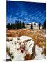 Snow covered landscape, Timberline Lodge, Mt Hood National Forest, Clackamas County, Oregon, USA-null-Mounted Photographic Print