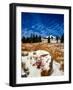 Snow covered landscape, Timberline Lodge, Mt Hood National Forest, Clackamas County, Oregon, USA-null-Framed Photographic Print