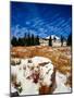 Snow covered landscape, Timberline Lodge, Mt Hood National Forest, Clackamas County, Oregon, USA-null-Mounted Photographic Print