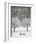 Snow covered landscape-Scott Barrow-Framed Photographic Print