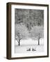 Snow covered landscape-Scott Barrow-Framed Photographic Print