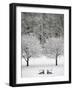 Snow covered landscape-Scott Barrow-Framed Photographic Print