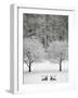 Snow covered landscape-Scott Barrow-Framed Photographic Print