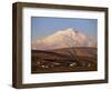 Snow Covered Mount Ararat, 5165M, Armenia, Anatolia, Turkey Minor, Eurasia-Woolfitt Adam-Framed Photographic Print