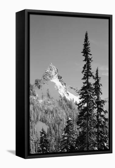 Snow-Covered Mountain, Cascade Range, Mt Rainier National Park, Washington, USA-Paul Souders-Framed Stretched Canvas