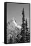 Snow-Covered Mountain, Cascade Range, Mt Rainier National Park, Washington, USA-Paul Souders-Framed Stretched Canvas