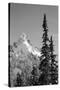 Snow-Covered Mountain, Cascade Range, Mt Rainier National Park, Washington, USA-Paul Souders-Stretched Canvas