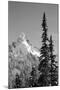 Snow-Covered Mountain, Cascade Range, Mt Rainier National Park, Washington, USA-Paul Souders-Mounted Premium Photographic Print