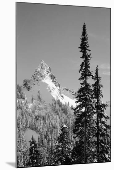 Snow-Covered Mountain, Cascade Range, Mt Rainier National Park, Washington, USA-Paul Souders-Mounted Photographic Print