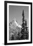 Snow-Covered Mountain, Cascade Range, Mt Rainier National Park, Washington, USA-Paul Souders-Framed Photographic Print