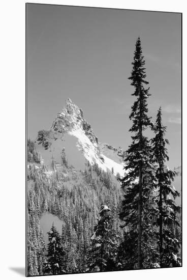 Snow-Covered Mountain, Cascade Range, Mt Rainier National Park, Washington, USA-Paul Souders-Mounted Photographic Print