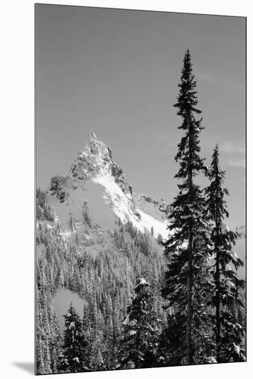 Snow-Covered Mountain, Cascade Range, Mt Rainier National Park, Washington, USA-Paul Souders-Mounted Premium Photographic Print