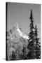 Snow-Covered Mountain, Cascade Range, Mt Rainier National Park, Washington, USA-Paul Souders-Stretched Canvas