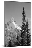 Snow-Covered Mountain, Cascade Range, Mt Rainier National Park, Washington, USA-Paul Souders-Mounted Photographic Print